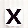 X (formerly Twitter) icon